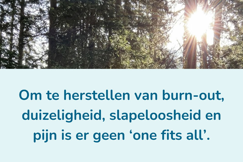 zon schijnt door bomen in een bos